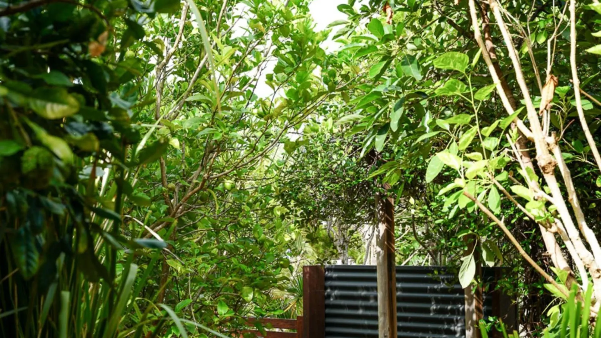 282 David Low Way Peregian Beach